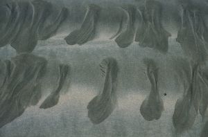 Au delà de l'eau : Exposition 9