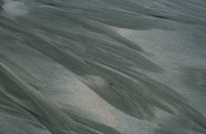 Au delà de l'eau : Exposition 8