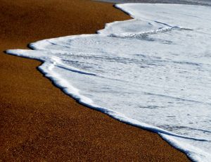 Au delà de l'eau : Exposition 33