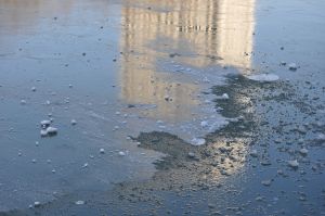 Au delà de l'eau : Exposition 18