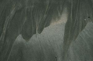 Au delà de l'eau : Exposition 10