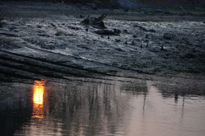 Au delà de l'eau : Exposition 20