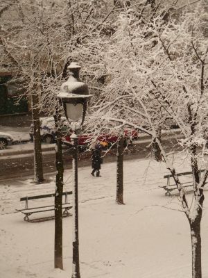 Bassin de la Villette et canal de l'Ourcq 31