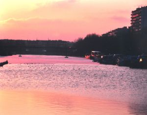 Bassin de la Villette et canal de l'Ourcq 10
