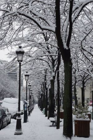 Bassin de la Villette et canal de l'Ourcq 8