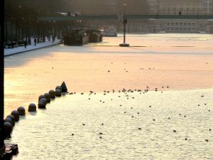 Bassin de la Villette et canal de l'Ourcq 54
