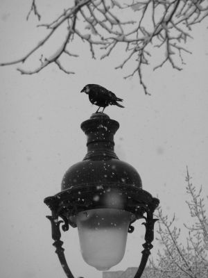 Bassin de la Villette et canal de l'Ourcq 29