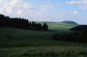 Cézallier 7