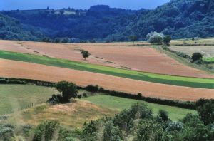 Limagne d'Auvergne 5