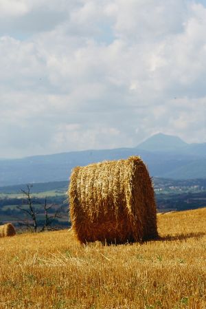 Limagne d'Auvergne 10