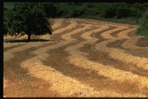 Limagne d'Auvergne 23