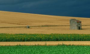 Limagne d'Auvergne 16