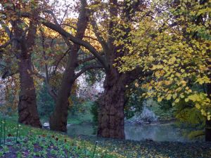 Parc des Buttes Chaumont 103