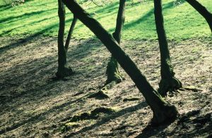 Parc des Buttes Chaumont 21