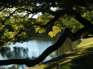 Parc des Buttes Chaumont 146
