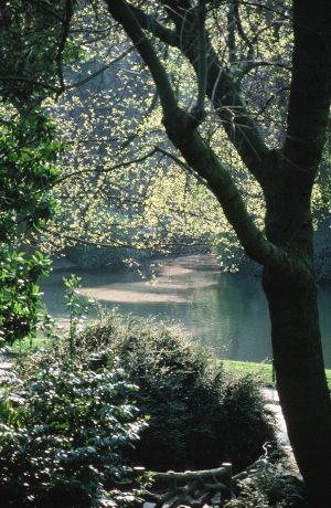 Parc des Buttes Chaumont 1