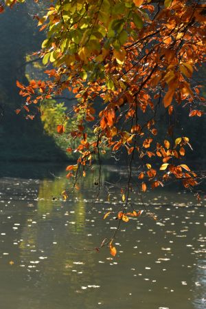 Parc des Buttes Chaumont 61