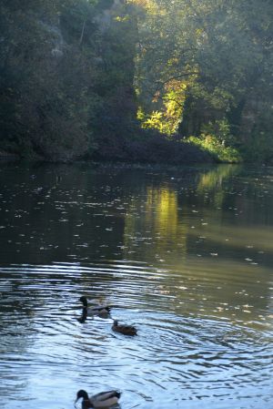 Parc des Buttes Chaumont 60