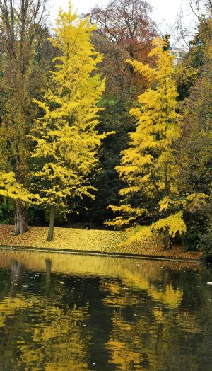 Parc des Buttes Chaumont 67
