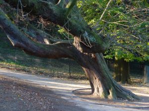 Parc des Buttes Chaumont 120