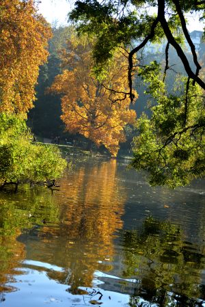 Parc des Buttes Chaumont 45