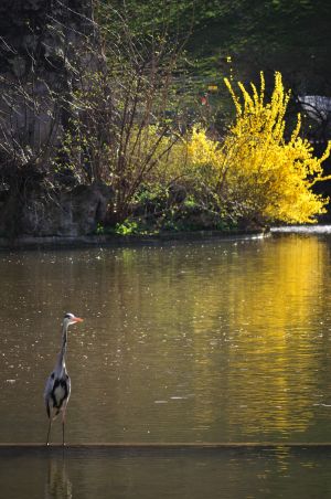 Parc des Buttes Chaumont 52