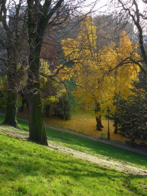 Parc des Buttes Chaumont 127