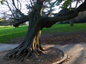 Parc des Buttes Chaumont 119