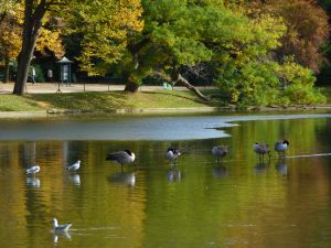 Parc des Buttes Chaumont 107