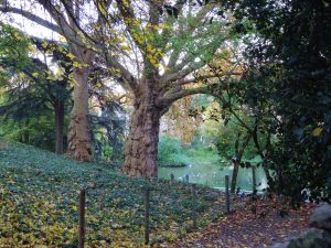 Parc des Buttes Chaumont 101