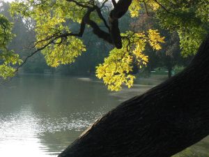 Parc des Buttes Chaumont 148