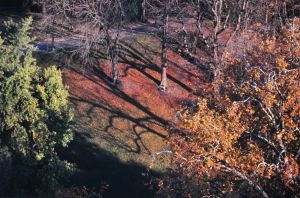 Parc des Buttes Chaumont 65