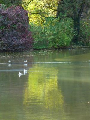 Parc des Buttes Chaumont 111