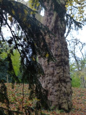 Parc des Buttes Chaumont 134