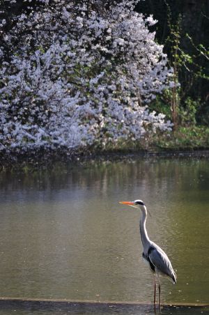 Parc des Buttes Chaumont 49