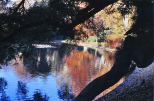 Parc des Buttes Chaumont 66