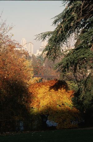 Parc des Buttes Chaumont 35