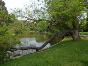 Parc des Buttes Chaumont 136