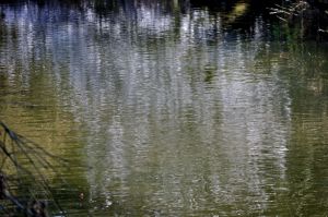 Reflets 7