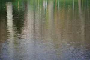 Reflets 6